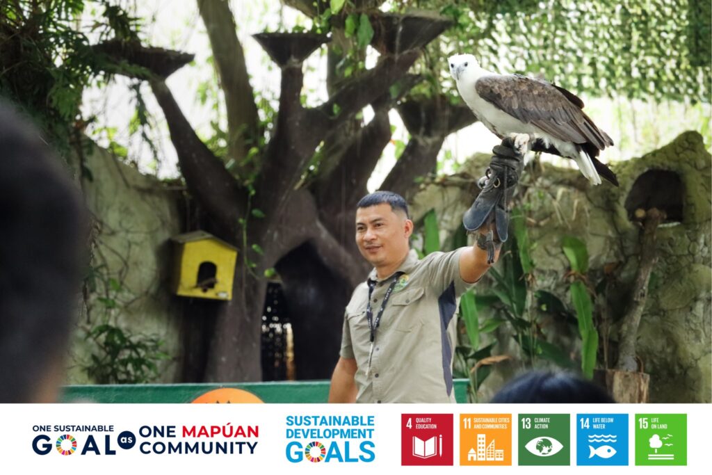 A staff member from crocodile park presented an eagle